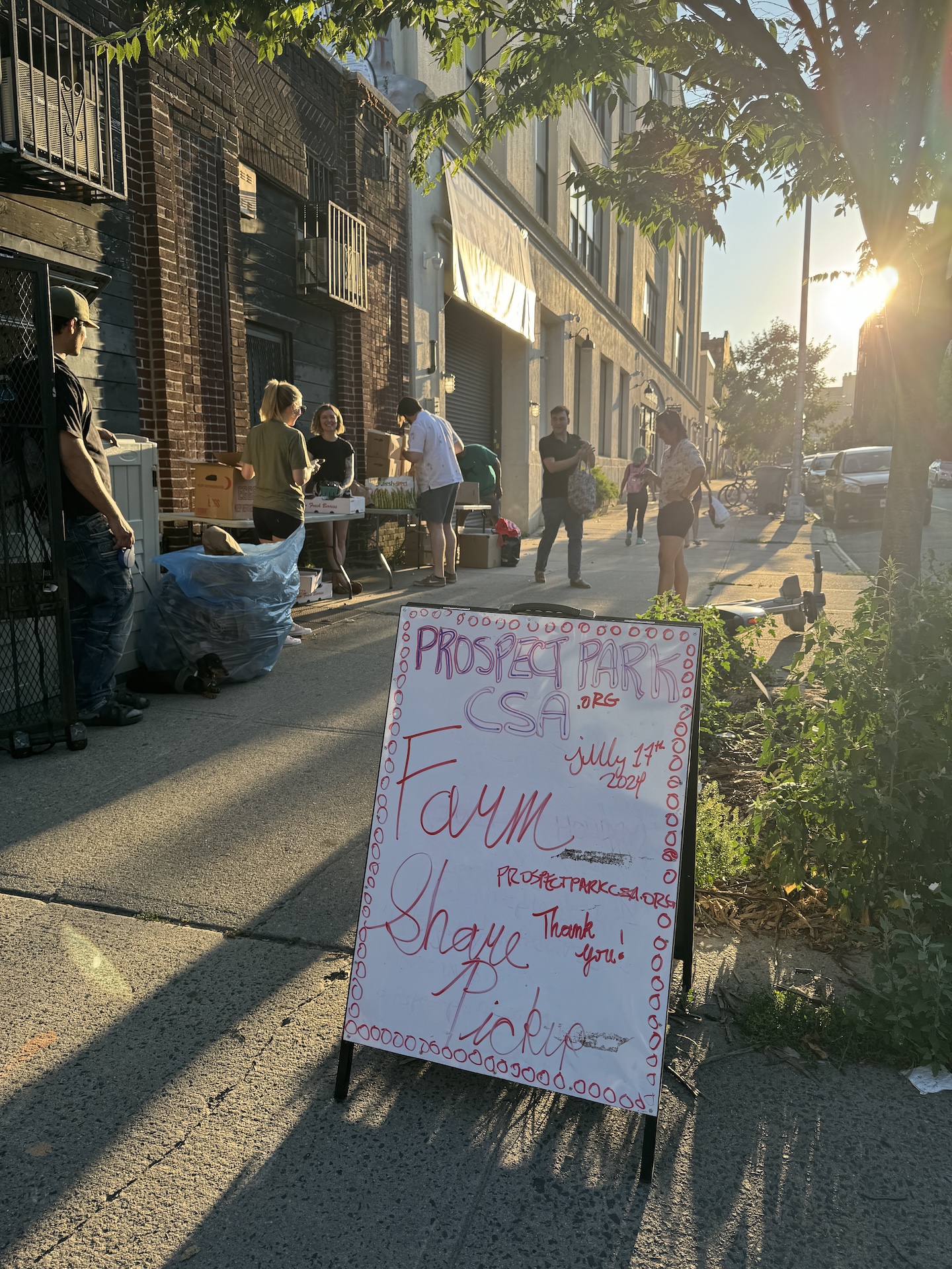 PPkCSA Thursday pickup, Crown Heights