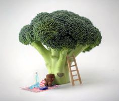 124221d3eefa49d5a78c29aa232dd647--teddy-bears-picnic-kid-pictures