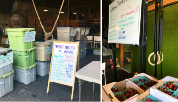 Screen Shot 2018-06-11 at 9.59.16 PM